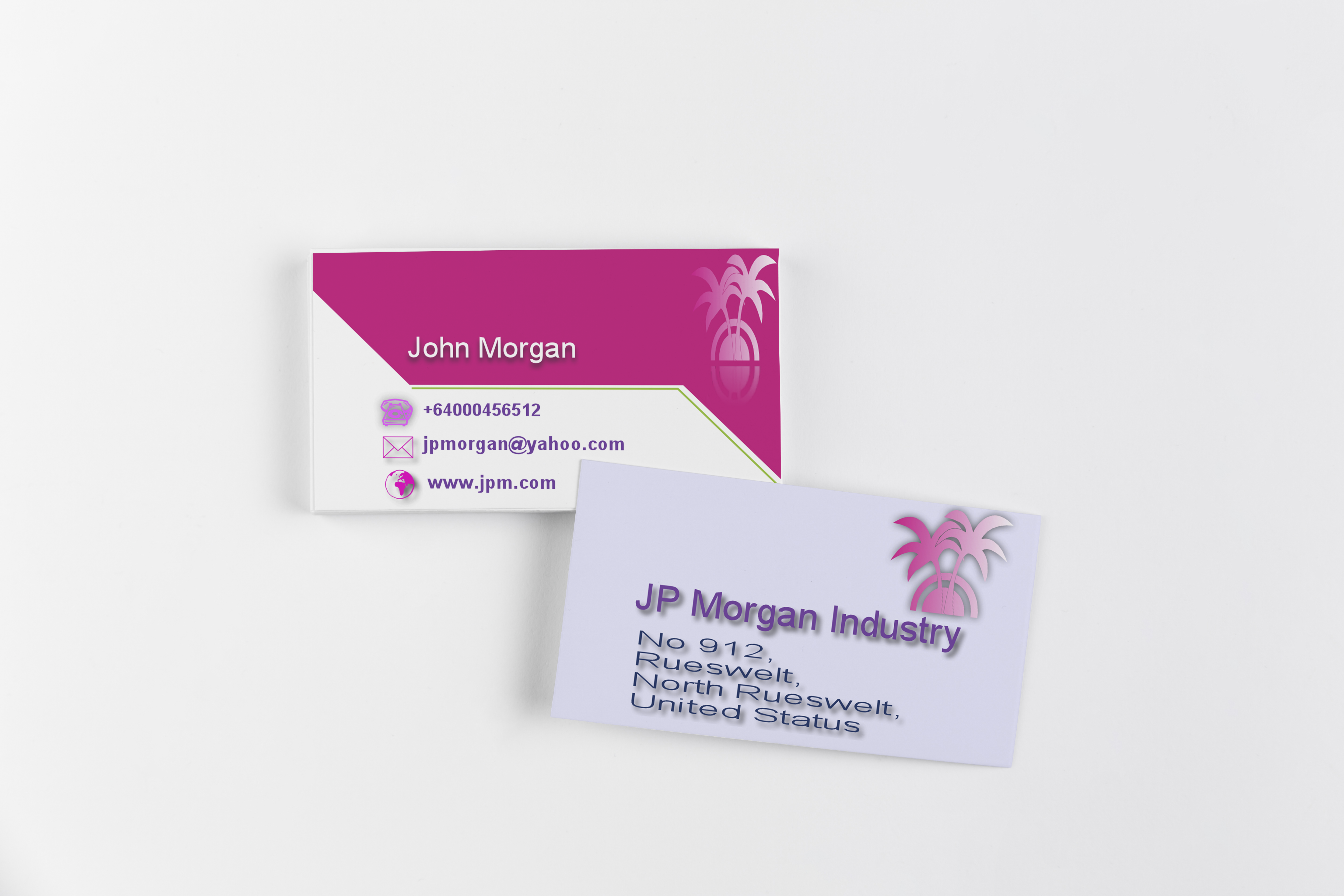 I will create professional Business Card in 24Hours 