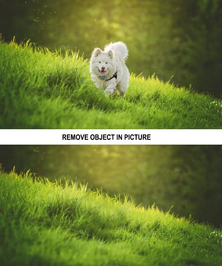 I WIll Remove Object /Edit/Replace Object in 2 Photos in One Hours