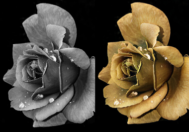 I will add color to you black and white photos