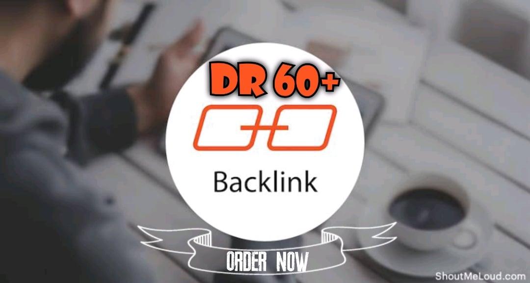 Get 10 DR 50 to 65 homepage permanent PBN Backlinks