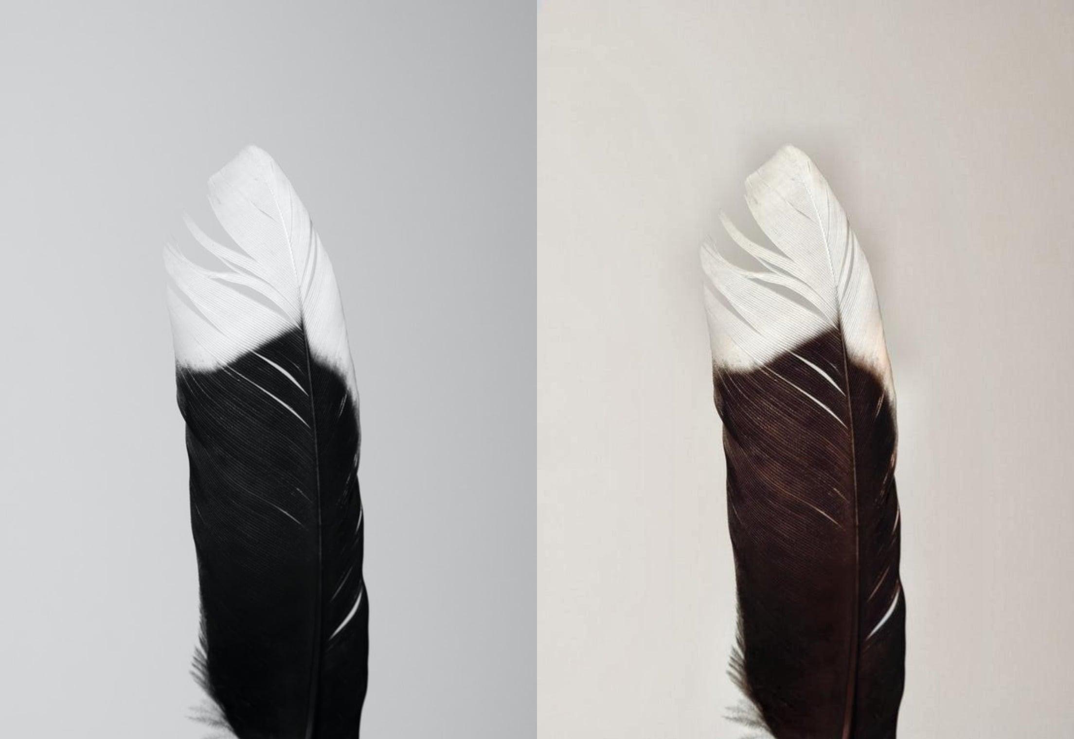 Colourise your images in better way| Don't waste your time| minimum payment