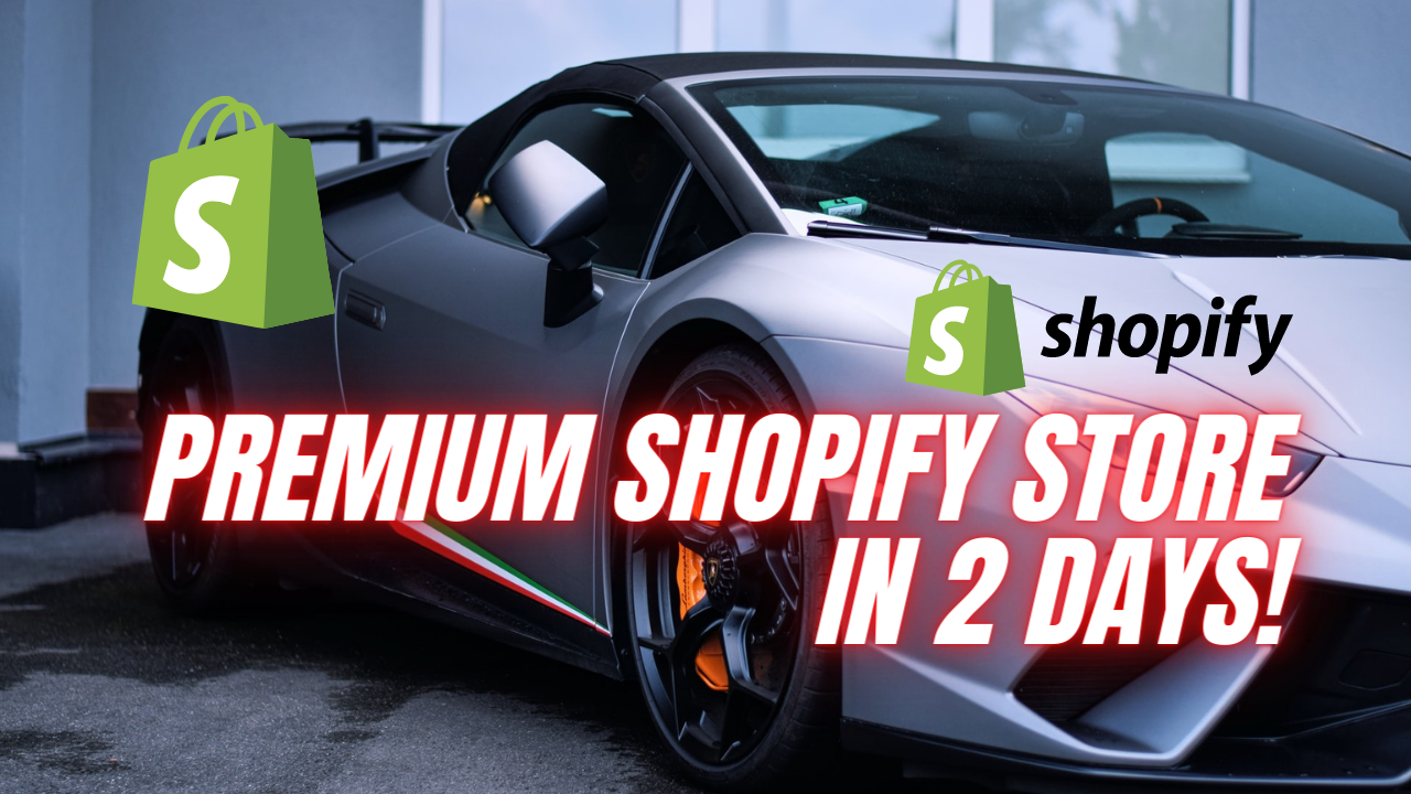 I will build a premium shopify store