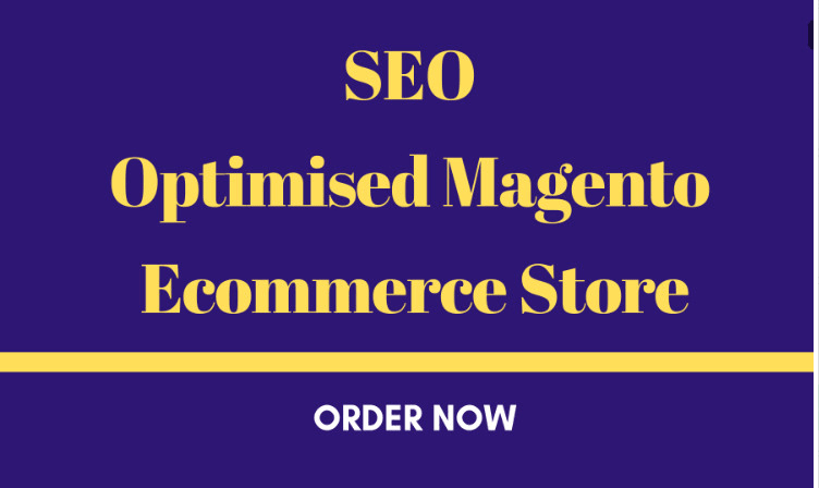 I will build an SEO optimised magento ecommerce store