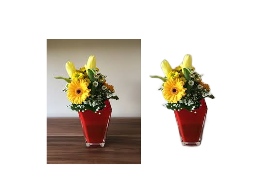 I will remove the background from the images