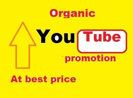 YouTube video promotion by social ads