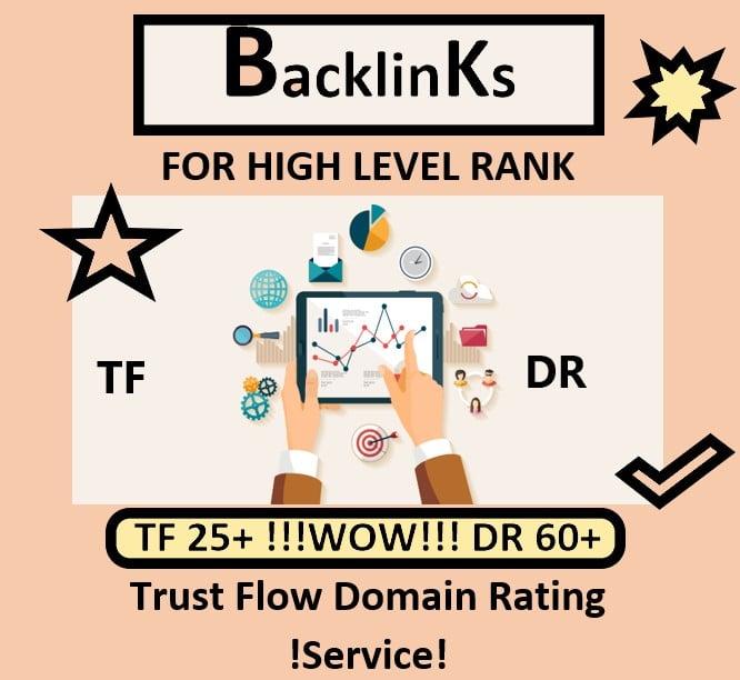 I will increase your Trust Flow (TF) and Domain Rating (DR) For The High Rank by 30 Backlinks.