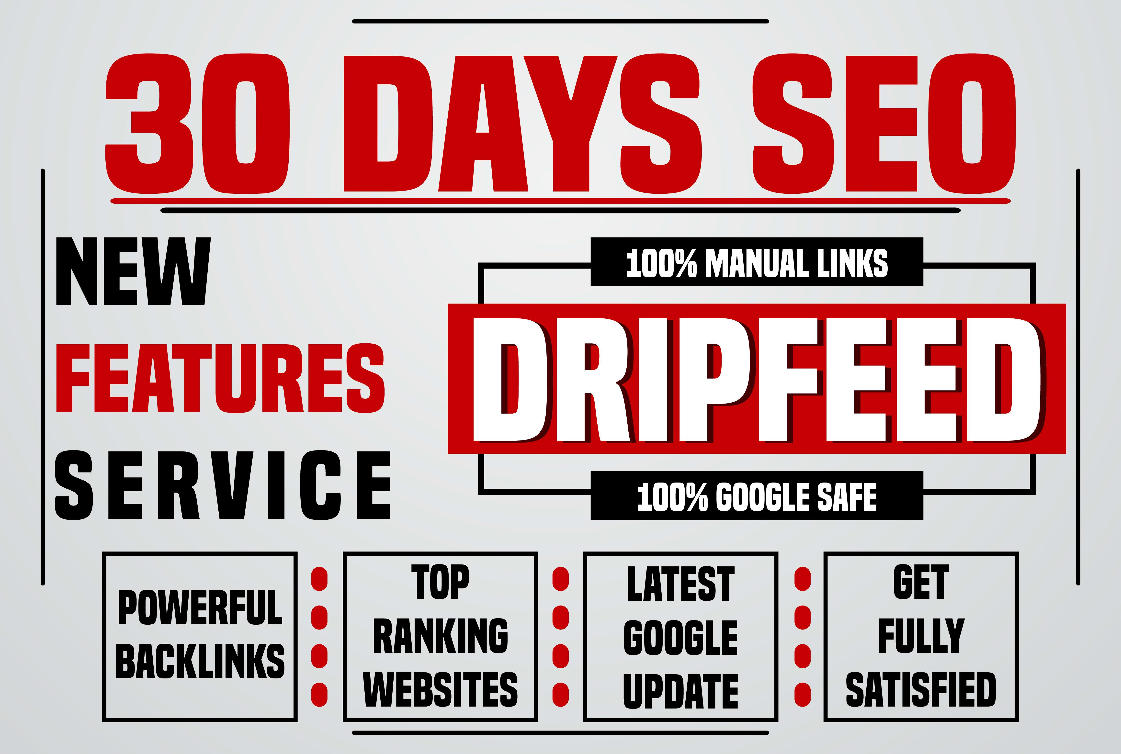 Manually 30 days SEO Package, drip feed daily 10 do follow backlinks