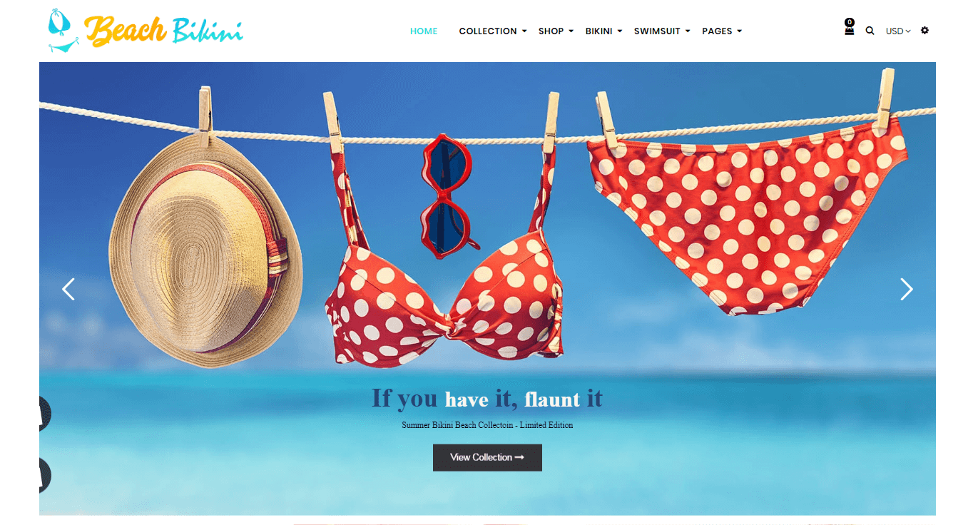 Shopify Dropshipping Bikini Fashion Store/Website with 40 winning Products