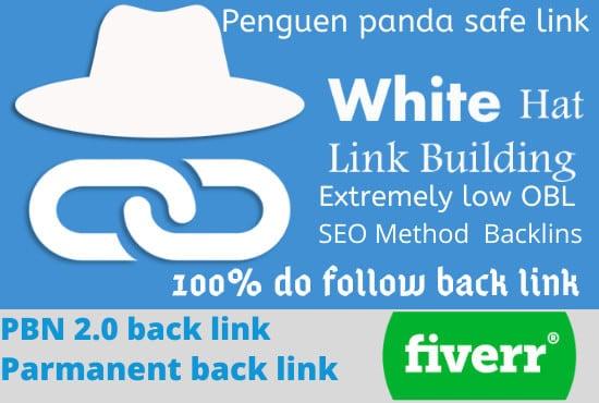 I will build high quality SEO backlinks for google ranking