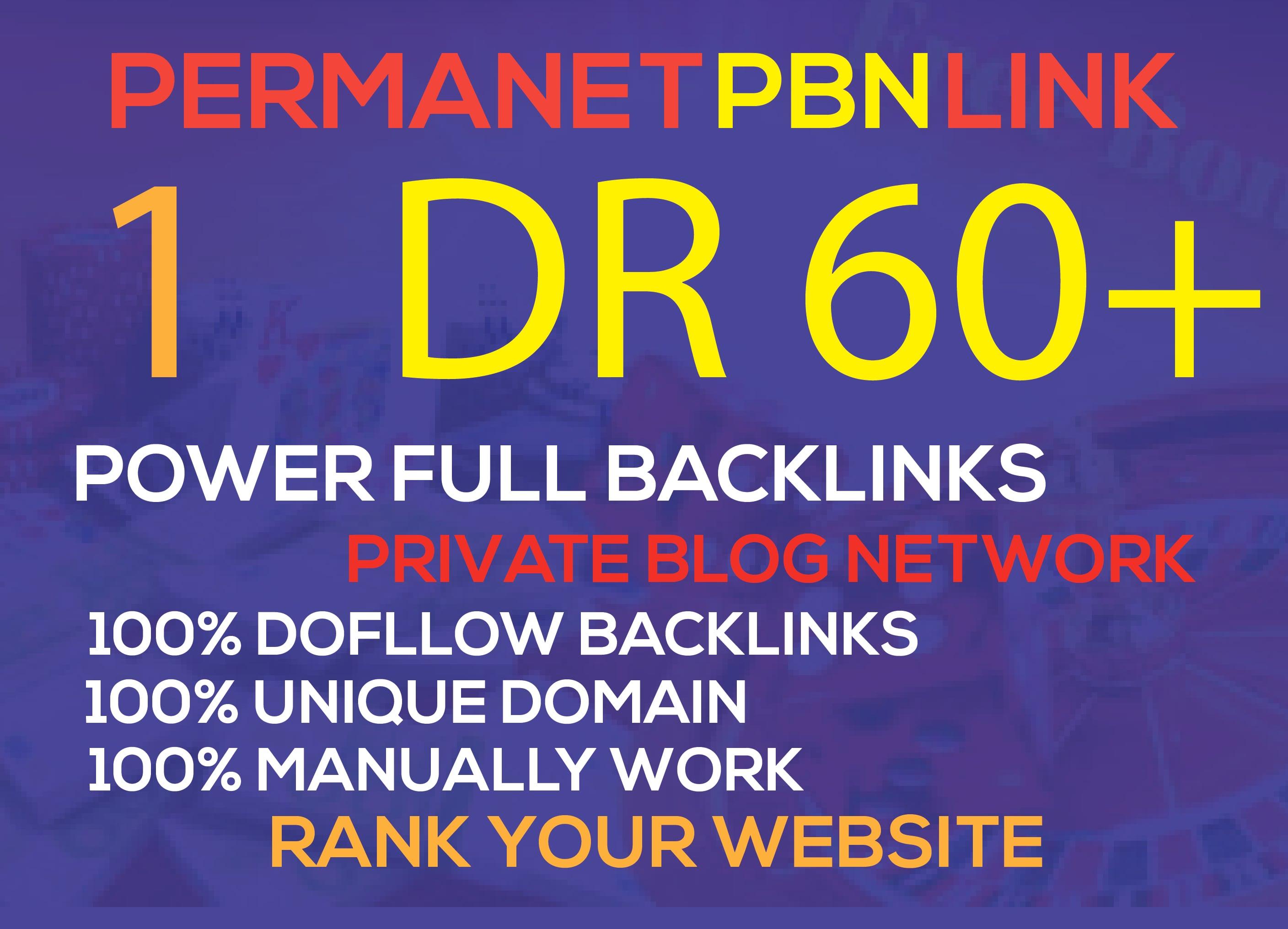 I will 1 PBN DR 60+ do permanent homepage pbn 