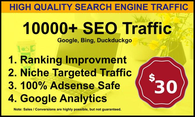 I will send 10,000 Visitors low bounce natural web traffic, from the USA 