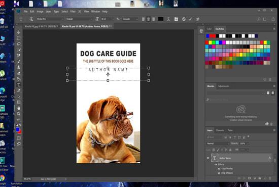 I will do professional book cover or ebook cover design