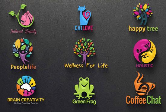 I will create 2 amazing and unique logo within 24hrs