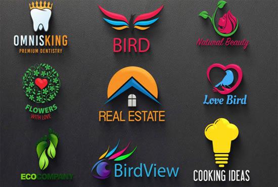 I will create 2 amazing and unique logo within 24hrs
