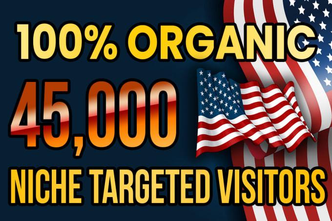 I will drive real USA targeted web traffic (20k)