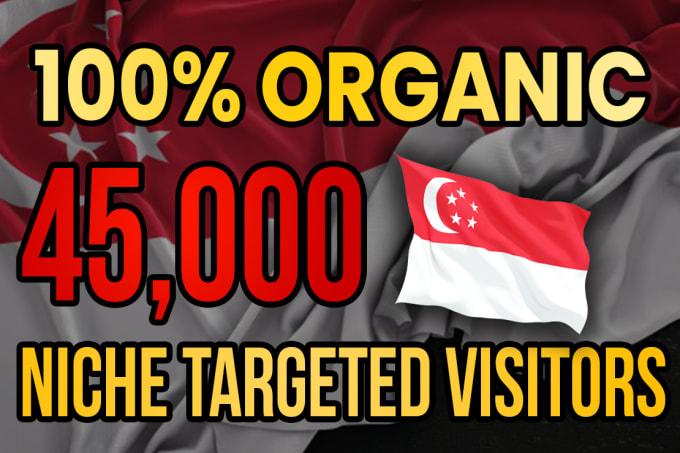 I will drive real Singapore targeted web traffic 20K 