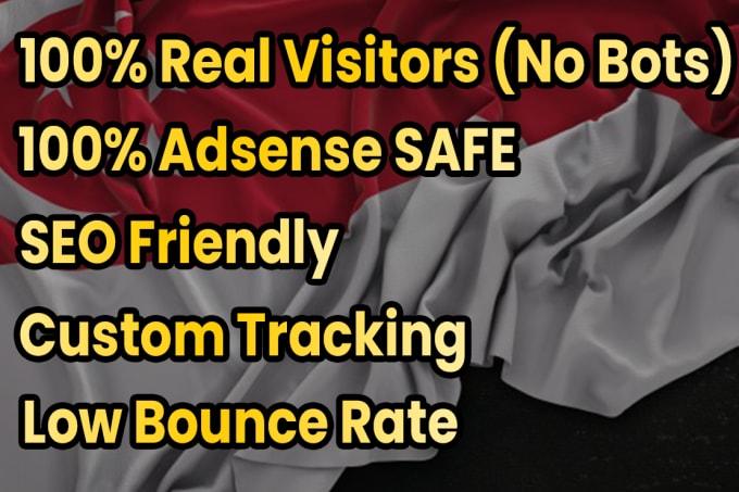 I will drive real Singapore targeted web traffic 20K 