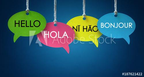 I will do any language translation and more