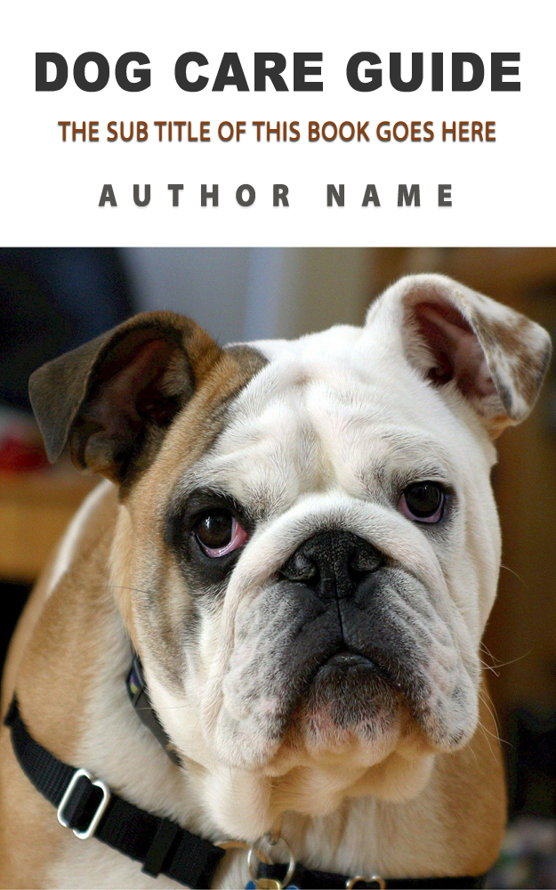 I will create a professional kindle ebook cover