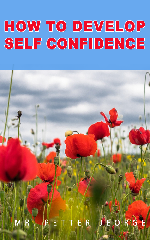 I will create a professional kindle ebook cover