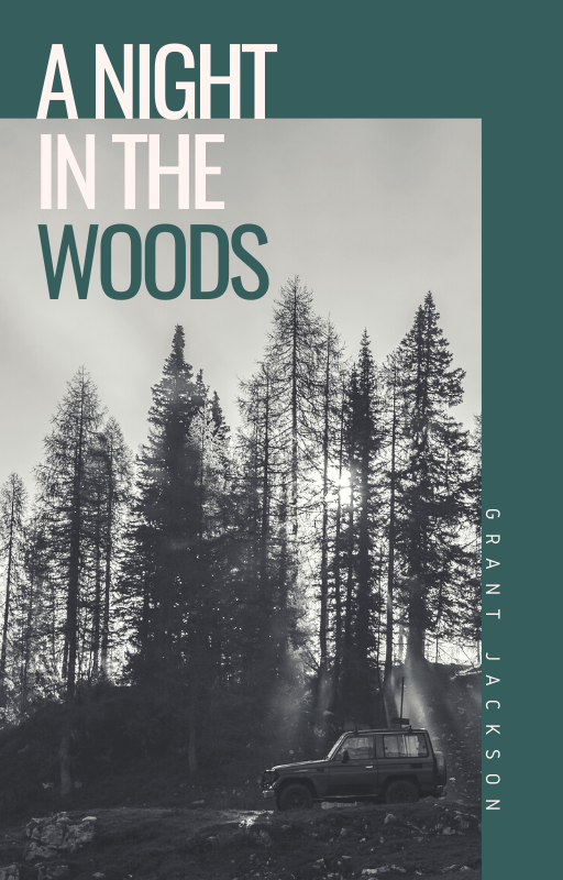 I'm going to design professional ebook covers.