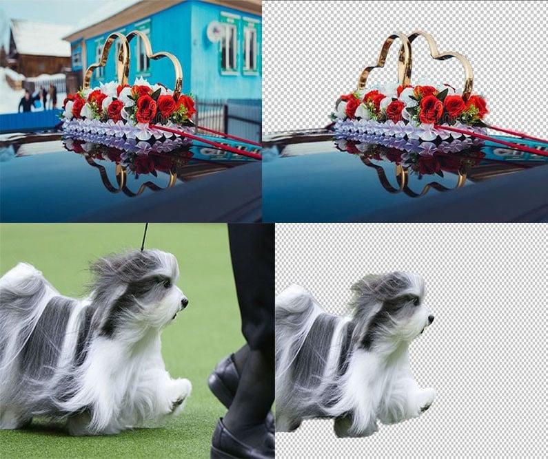 5 Image Remove background professionally using Adobe Photoshop, within 24 hours delivery for $2