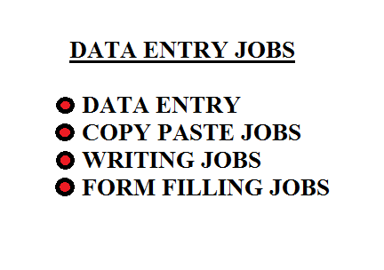 I will provide data entry operations such as copy paste, writing jobs 