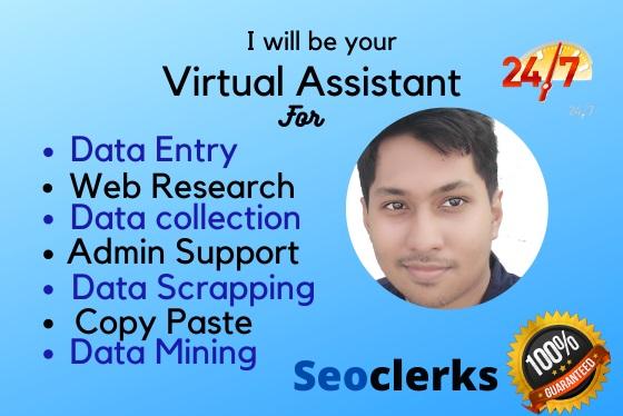 I will be your virtual assistant