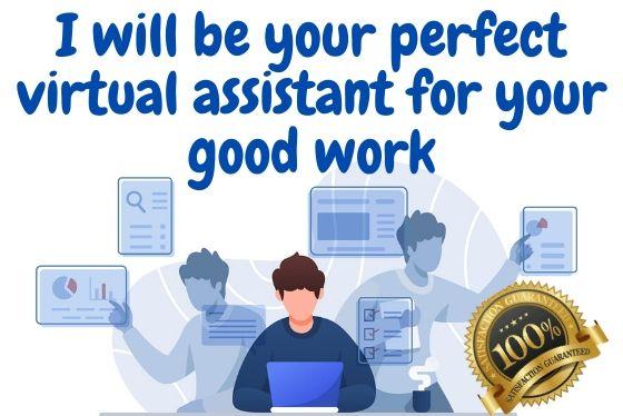 I will be your perfect virtual assistant for your good work