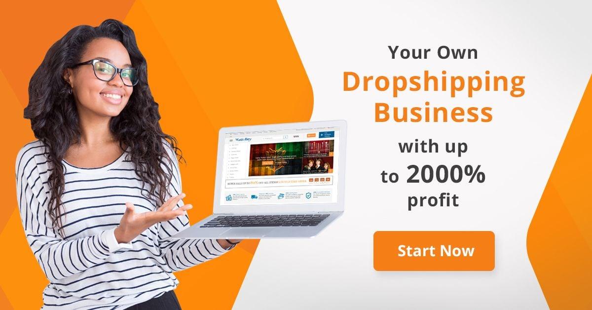 build Alidropship Aliexpress Dropshipping store on Wordpress