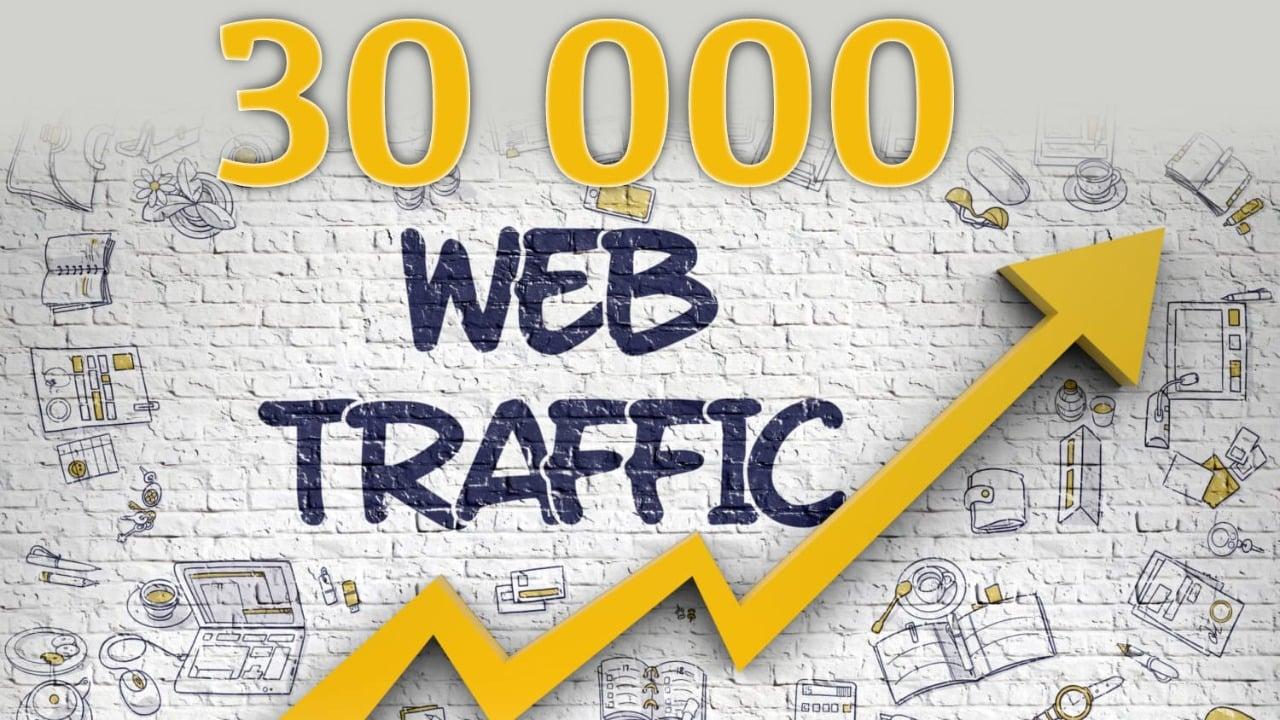 Real organic traffic through search engine 1000+ daily for 1 months 