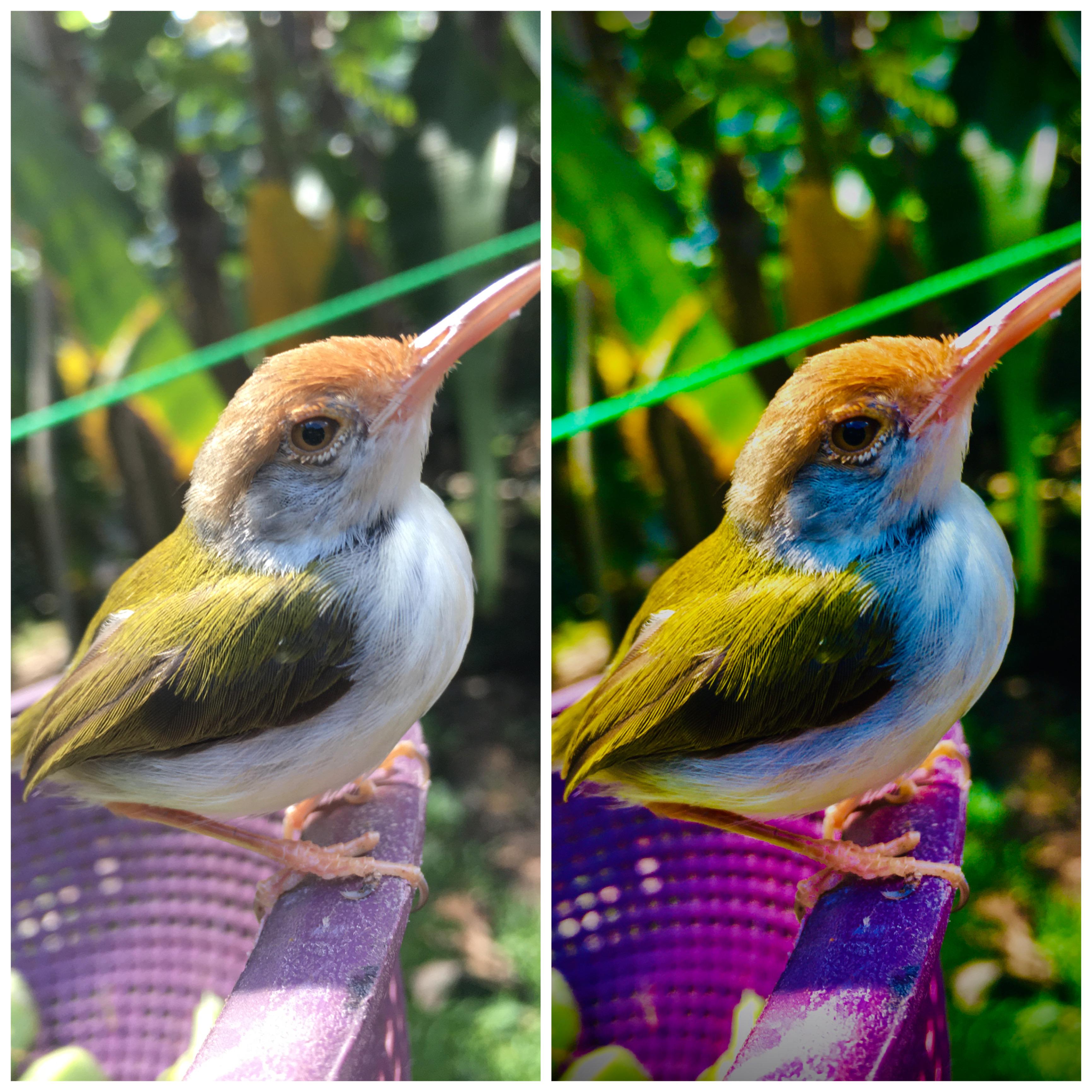 professional photo retouching service