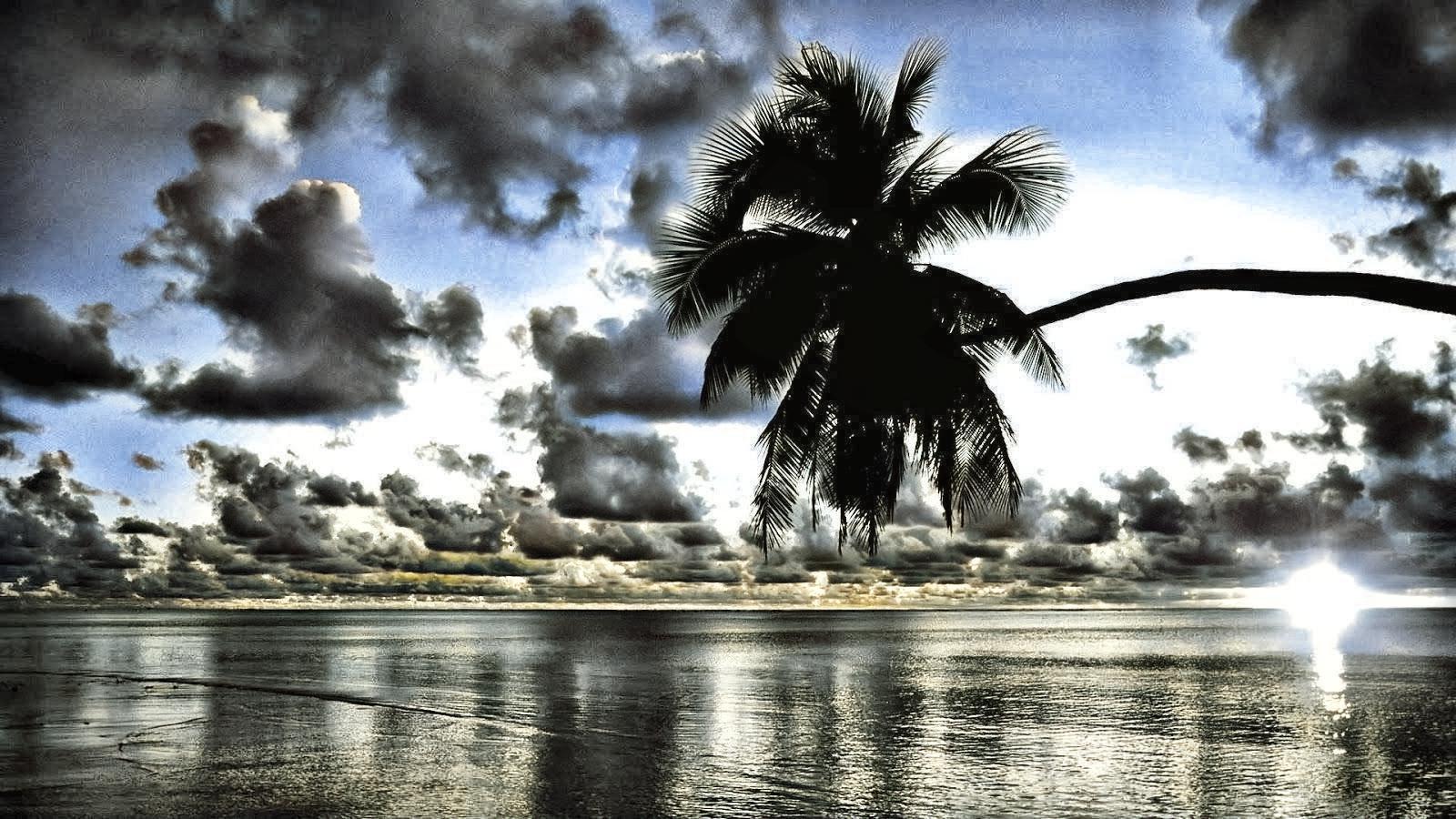 Paint any black and white image