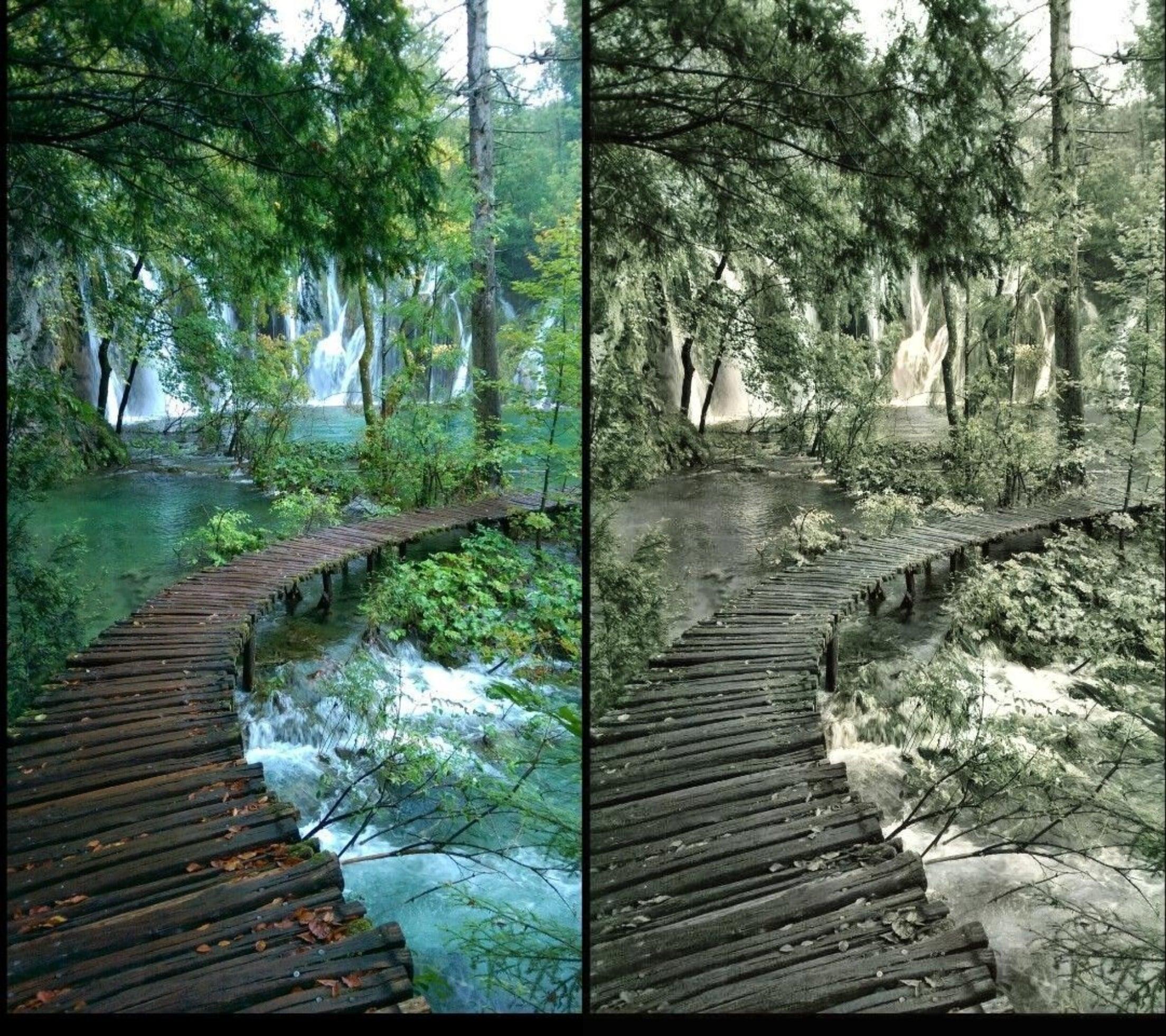 I will Professionally change 5 photos to colours