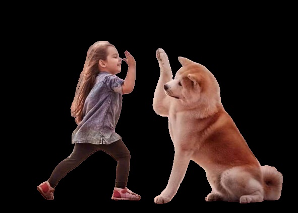 I will Black Ground remove and colourise white and black and photo editing 10 image