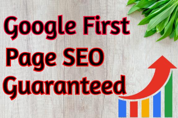 Rank on Google First Page- Guaranteed 