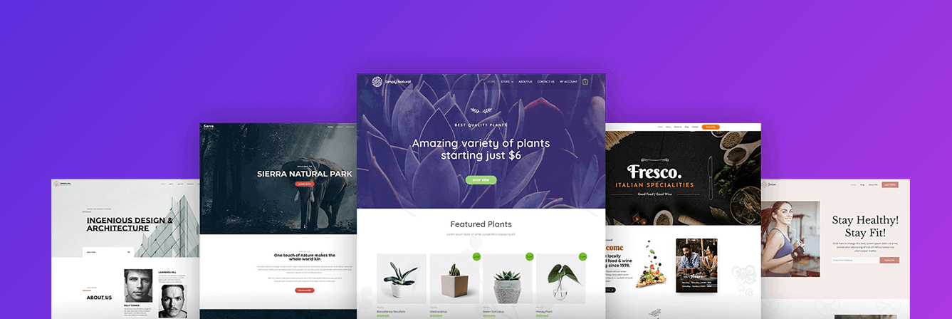 Build a fully responsive wordpress website with E-commerce functionality 