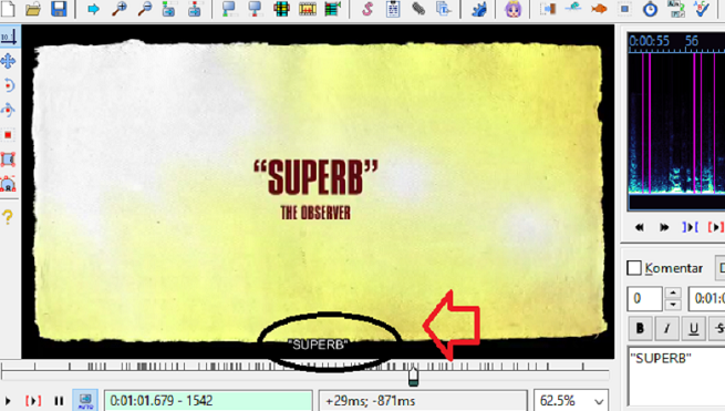 SUBTITLE and traslation services (Video Production)