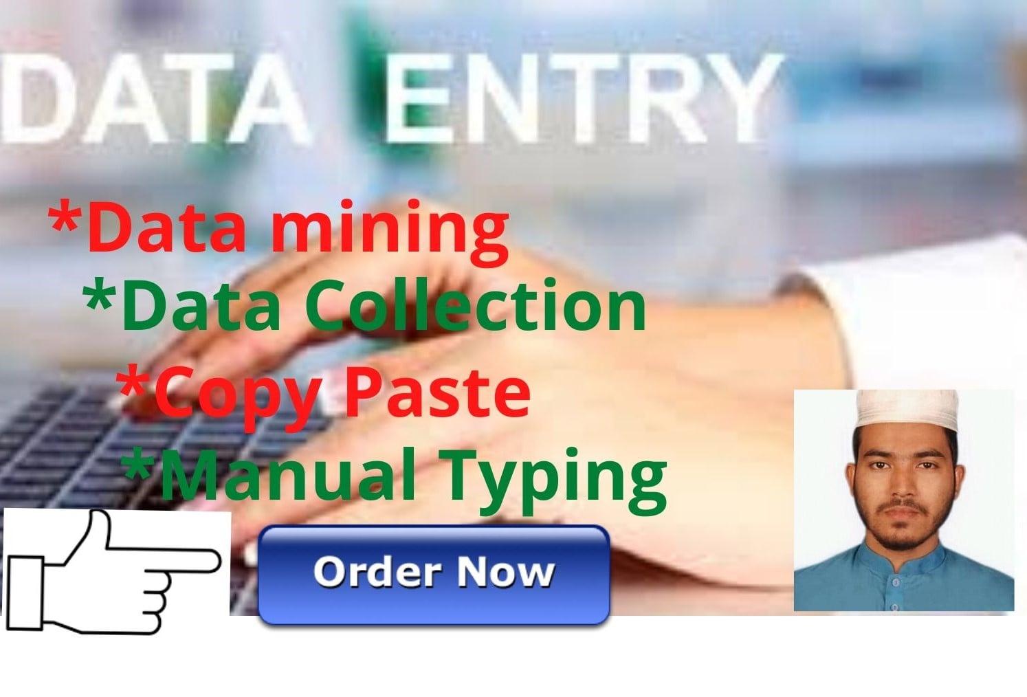 i will any data entry, data mining, copy paste,image to excel, online data entry,