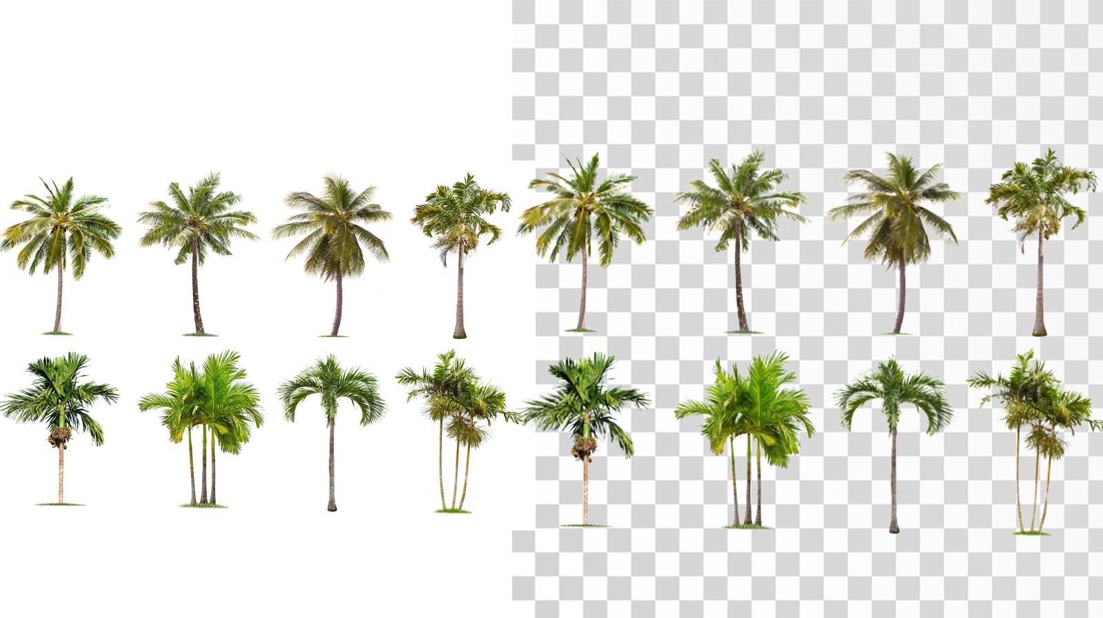 I will change photo bg and remove bg 25 images