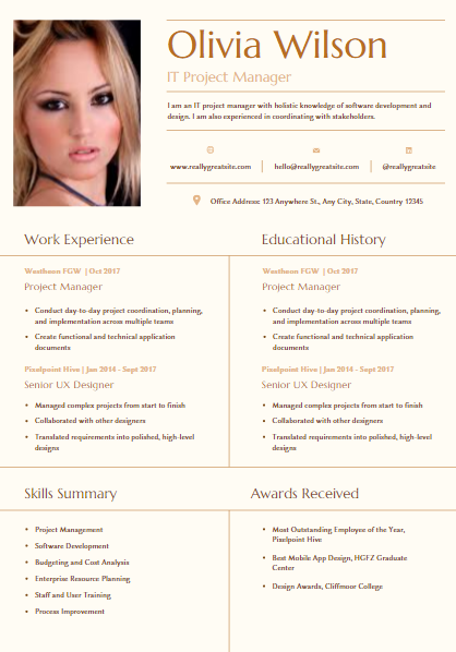 I will do professional HQ infographic and resume 