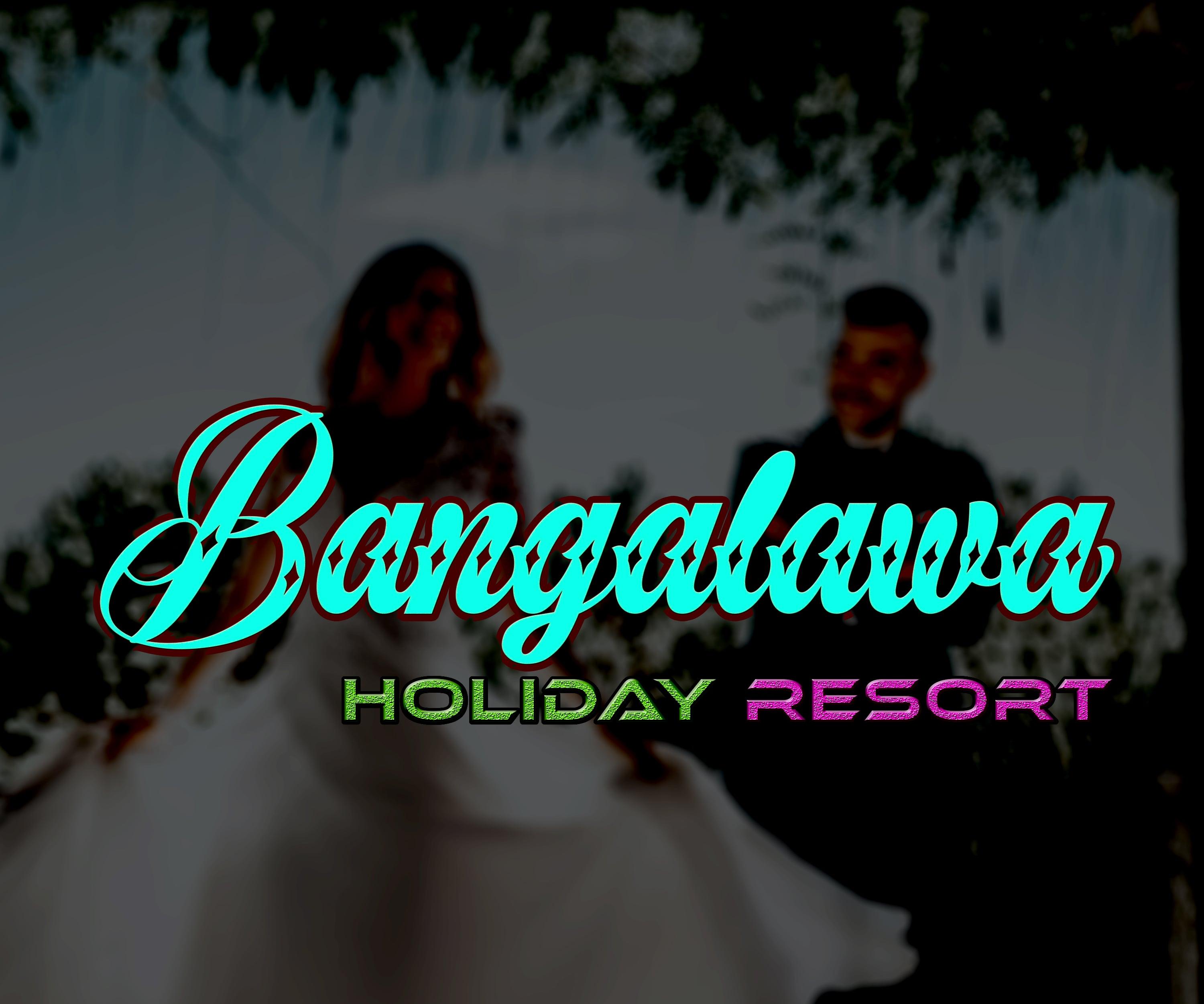 Create covers and manipulations in UNLIMITED REVISIONS 