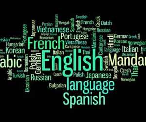 I will translate one language into multi languages