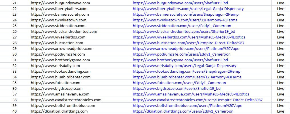 I will create 20 web 2.0 backlinks for your website