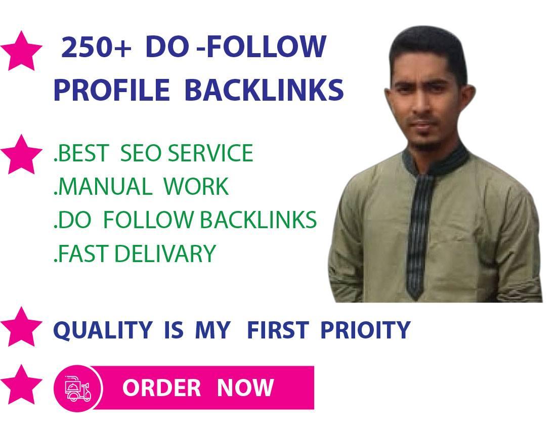 I will create 250 high da profiles backlinks for your website 