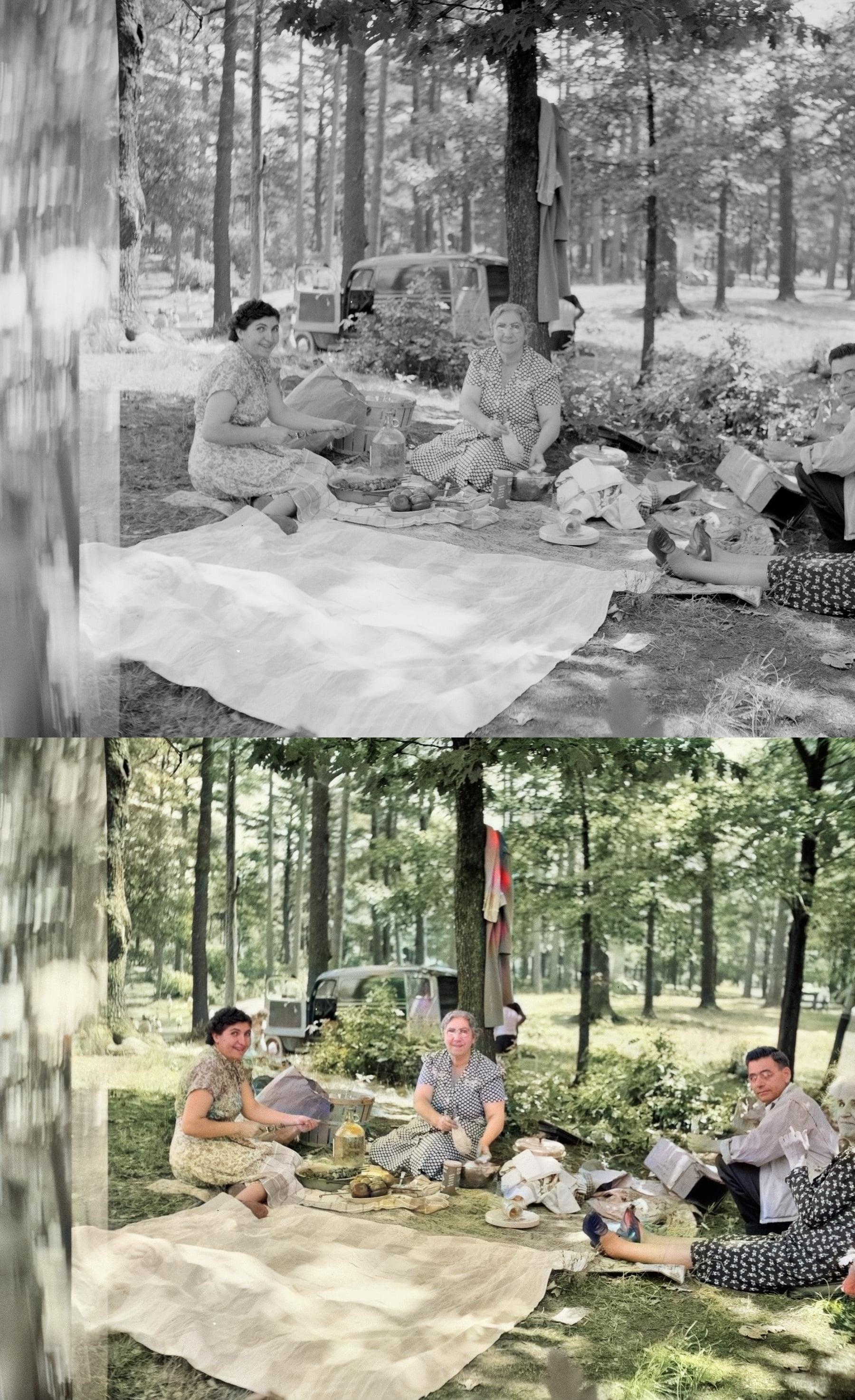 Background Removal, Remove Background on Images Colorize, Restore color FAST. GET FREE SAMPLE!