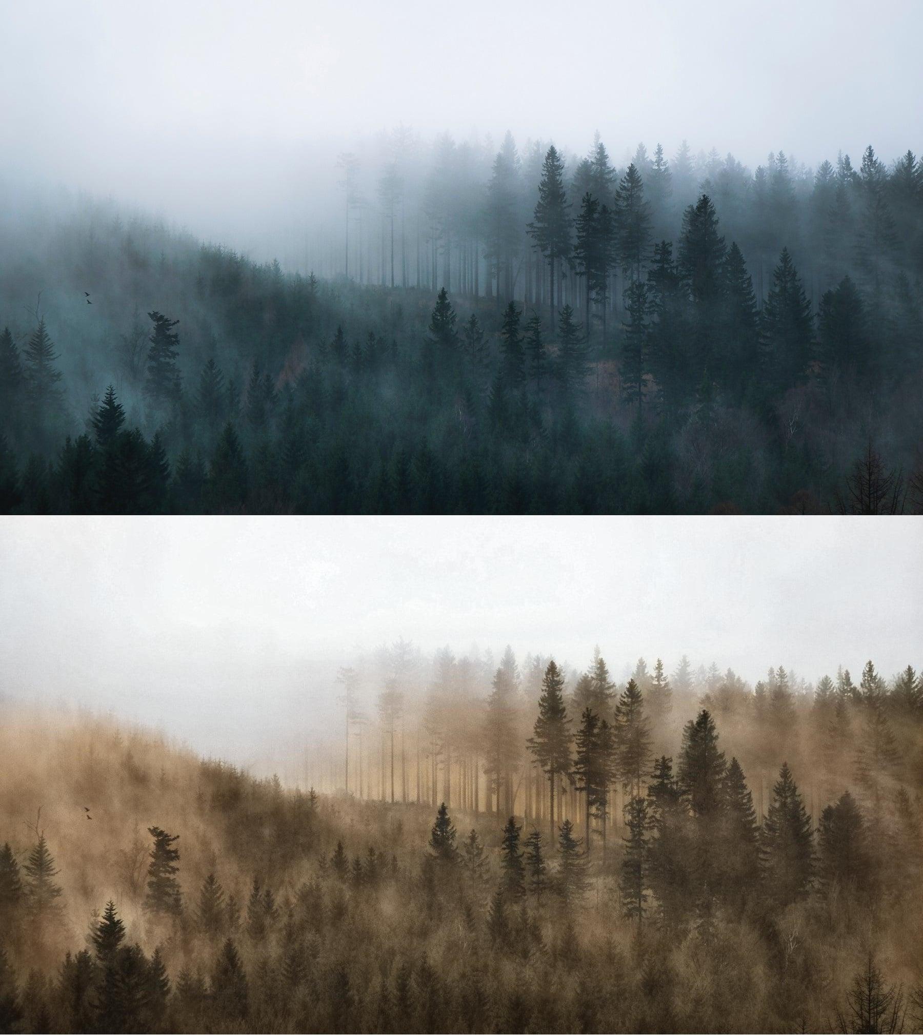 Background Removal, Remove Background on Images Colorize, Restore color FAST. GET FREE SAMPLE!