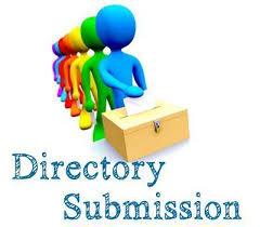 i will sell your website to 500 directories