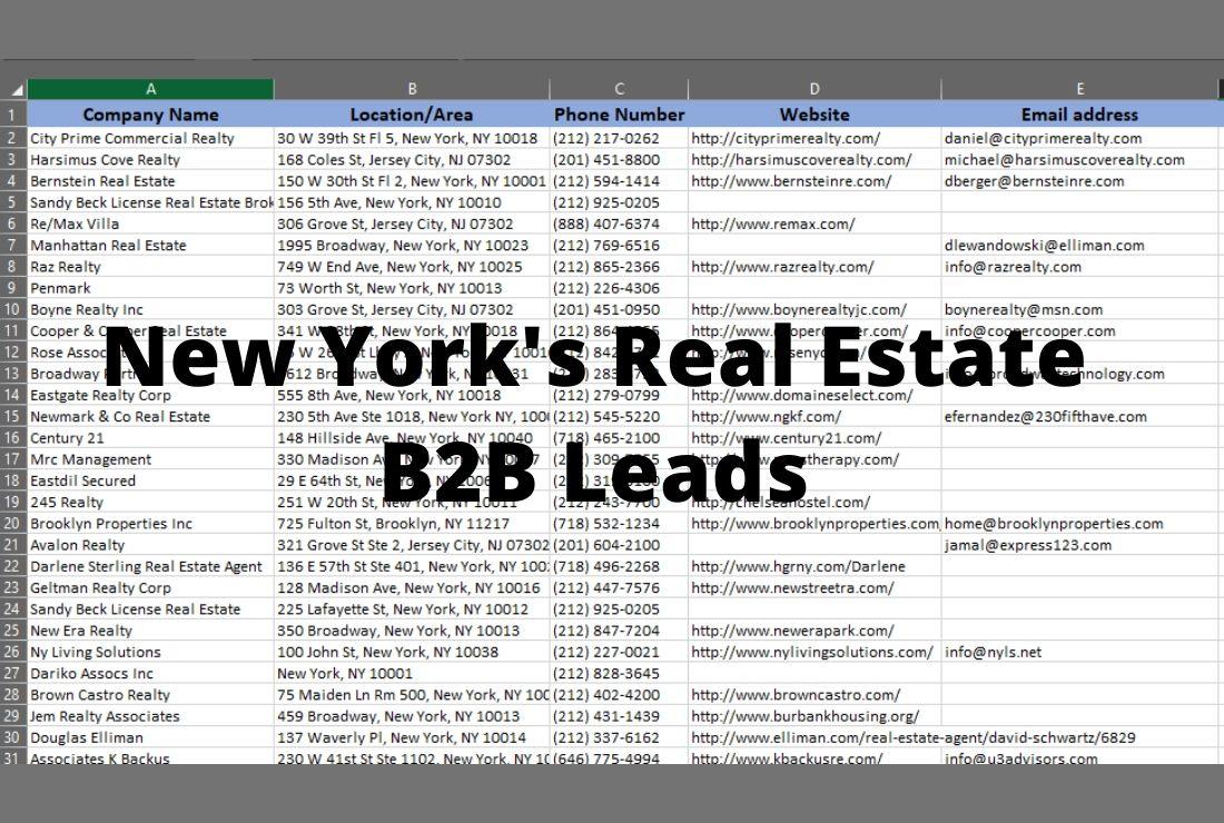 I will do GEO targeted b2b lead generation and linkedin leads