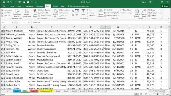 I will be your virtual assistant for data entry, data mining, copy paste, 